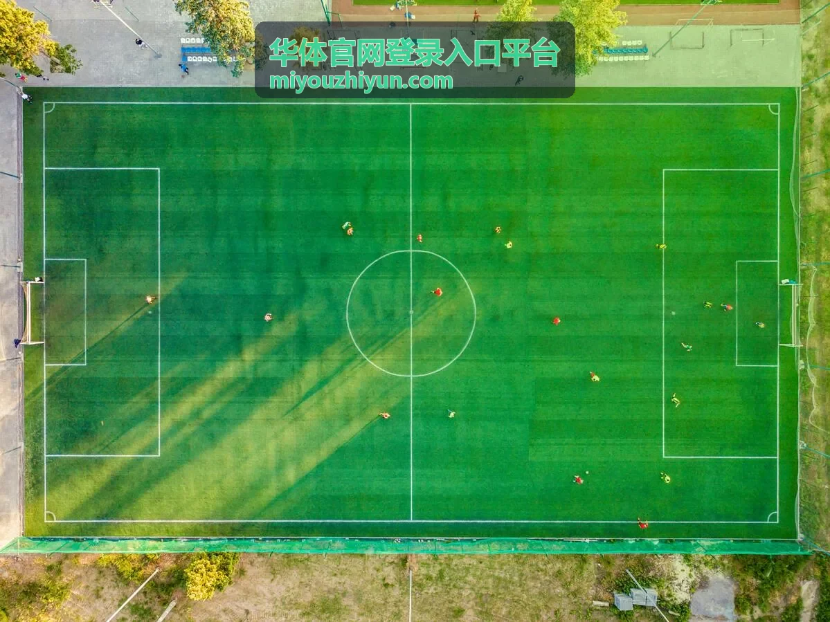 华体官网登录入口平台成员与角色管理界面示意